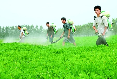 China,Ban,Pesticide,Pollutant,Management,Formulation,Nonylphenol