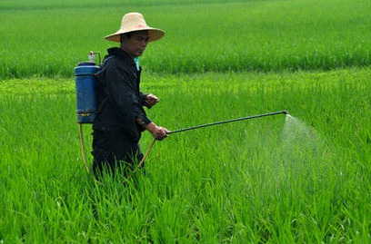 China,Biopesticide,Registration,Definition,Pesticide,Chemical
