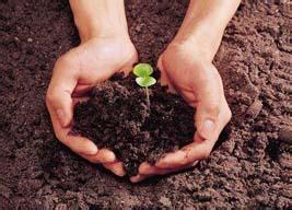 China,Chemical,New Chemical Substance,Notification,Data,Revision China,Chemical,New Chemical Substance,Notification,Data,Revision