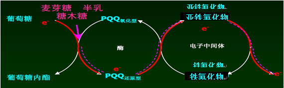 葡萄糖脱氢酶(GDH)血糖测试反应原理图 葡萄糖脱氢酶(GDH)血糖测试反应原理图
