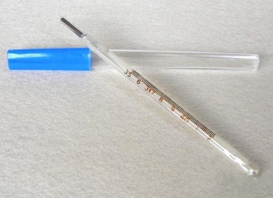 玻璃体温计产品典型结构 玻璃体温计产品典型结构