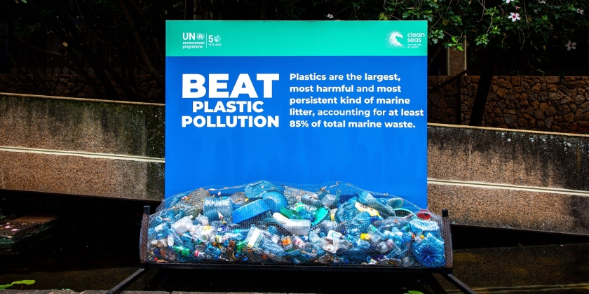 塑料,化学品,污染,塑料污染,生态