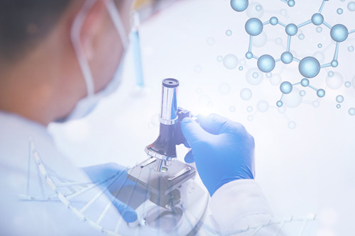 Cosmetic Ingredient Toxicity: How Computational Models Make Predictions