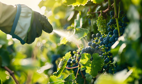 China,Pesticide,Export-only,Registration,Production