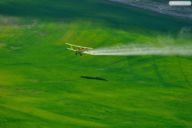 Free Webinar: Introduction to Pesticide Regulation in China and Latest Developments