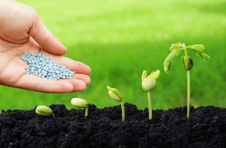 How to Register A Fertilizer in China - A Step-by-Step Guide