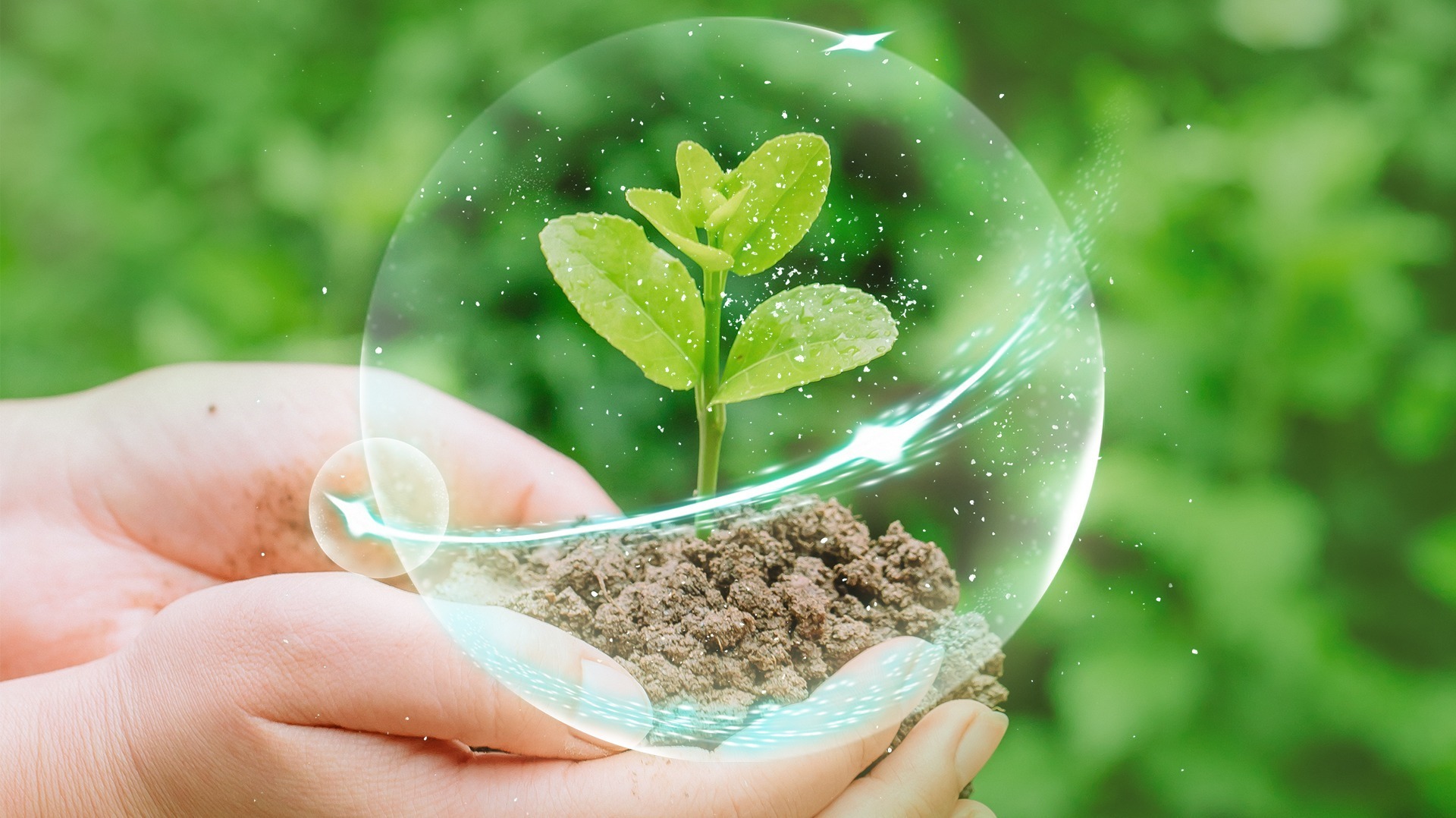 Summary of Fertilizer Registration and Filing in China