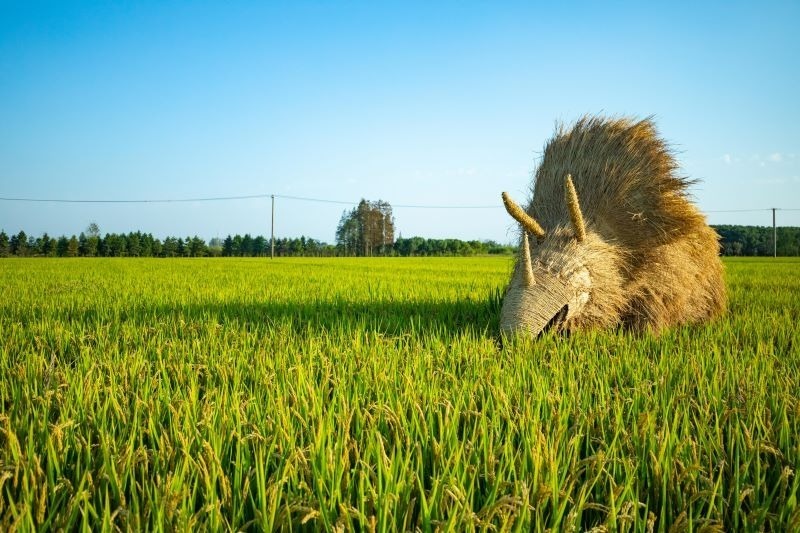 Quarterly Review | List of Approved Technical Grade Active Ingredient (TGAI) Products in China during Q1 2024