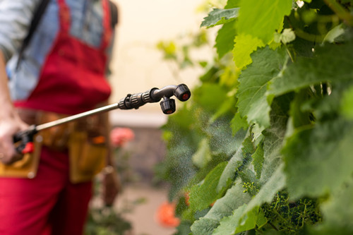 Annual Review | Approved Export-only Pesticide Products in China in 2024