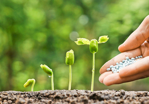 Latest Updates to Fertilizer Registration Requirements in China