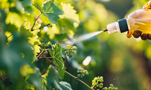 Year-end Review: Summary of China’s New Pesticide Registration Policies in 2025