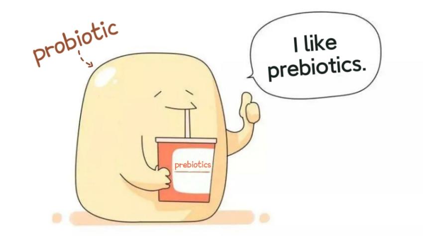 China,Food,Probiotic,Prebiotic,Synbiotic,Postbiotic