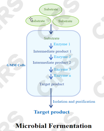 Food,Biology,Approach,Innovation,Registration,Filing,Guideline