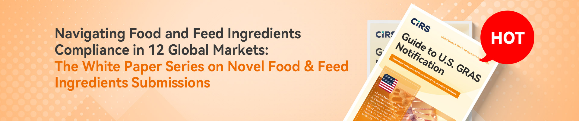 IMG_256