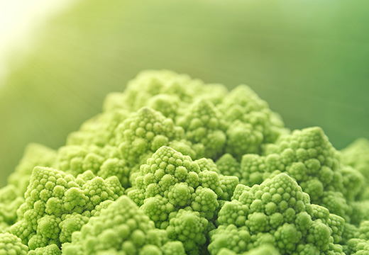 Free Webinar: Experience Sharing on New Food Additive (including GMM Derivatives, Enzymes, Flavors, and Nutrition Enhancers) Applications (May 24)