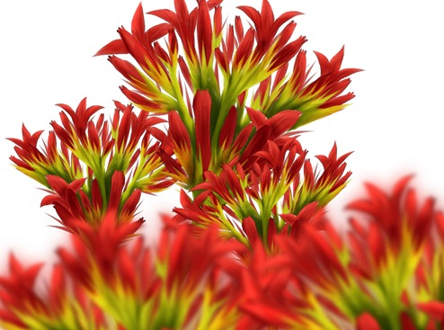 Overcoming the Rhodiola Supply Challenge: The Role of Synthetic Biology in Health Foods