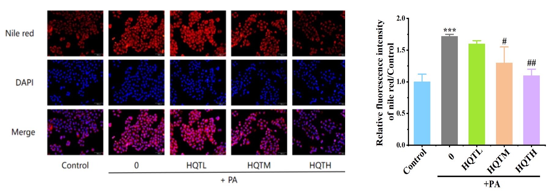 控油,体外功效,皮肤,皮脂