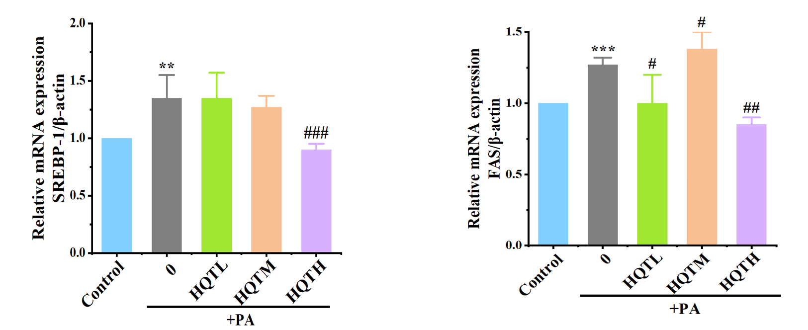 控油,体外功效,皮肤,皮脂