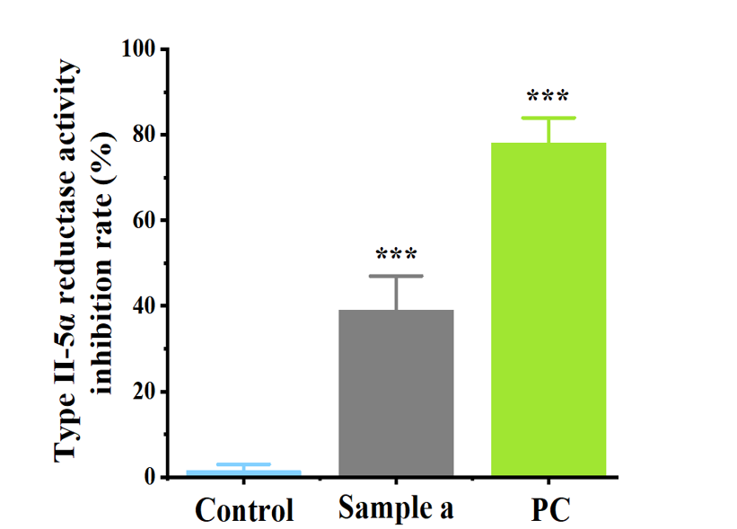 控油,体外功效,皮肤,皮脂