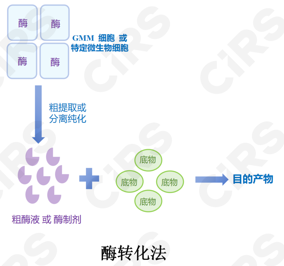 合成生物学,酶转化,全细胞催化,发酵法,食品,创新应用,申报指南