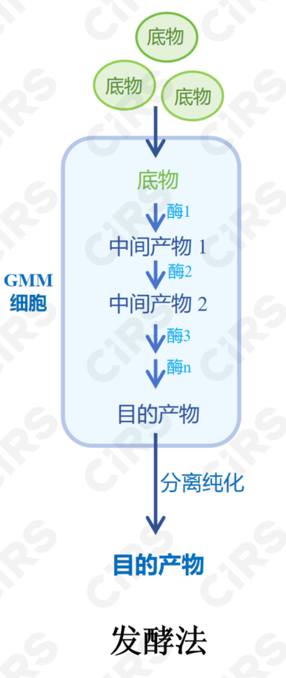 合成生物学,酶转化,全细胞催化,发酵法,食品,创新应用,申报指南
