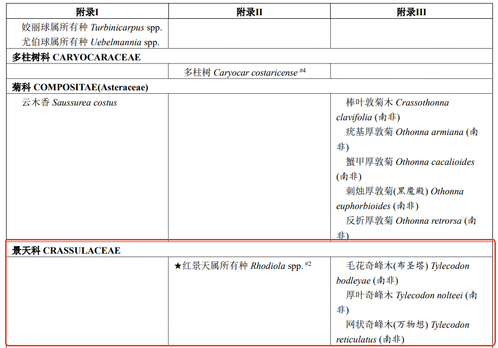 保健食品原料,红景天,合成生物学,红景天苷