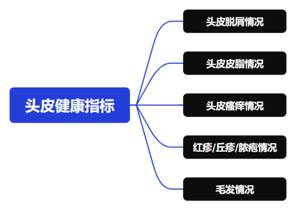 头皮,健康,头皮脱屑,头皮皮脂