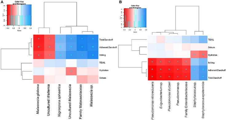 头皮,健康,头皮脱屑,头皮皮脂