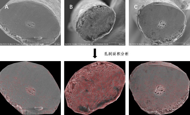 希科检测,化学损伤,发用修护功效,评价方法,核心期刊