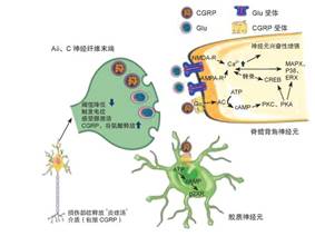 敏感肌,皮肤,敏感