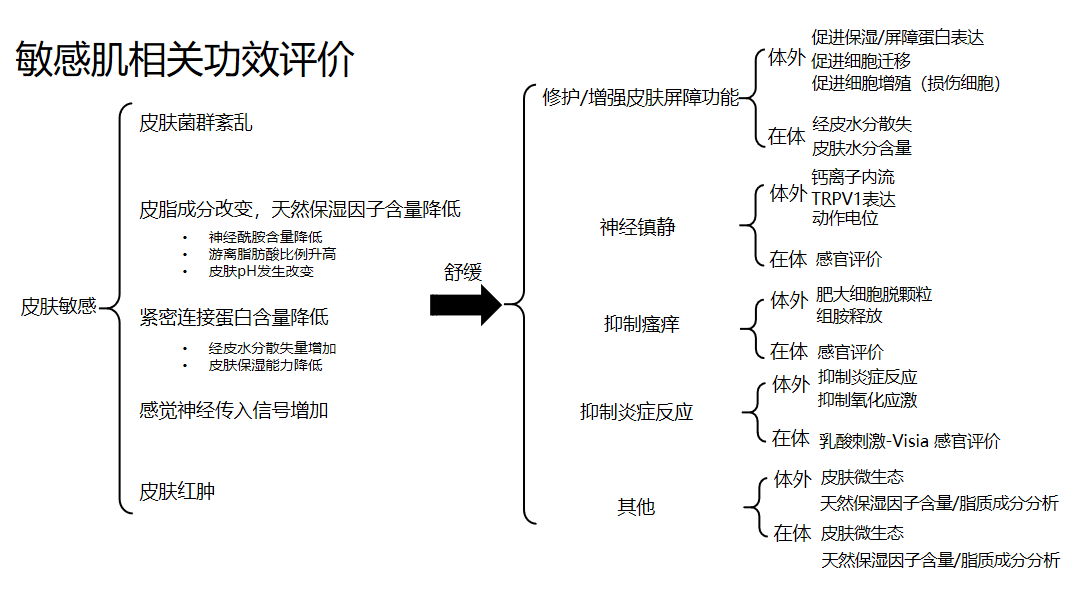 敏感肌,护理类,成分,功效评估