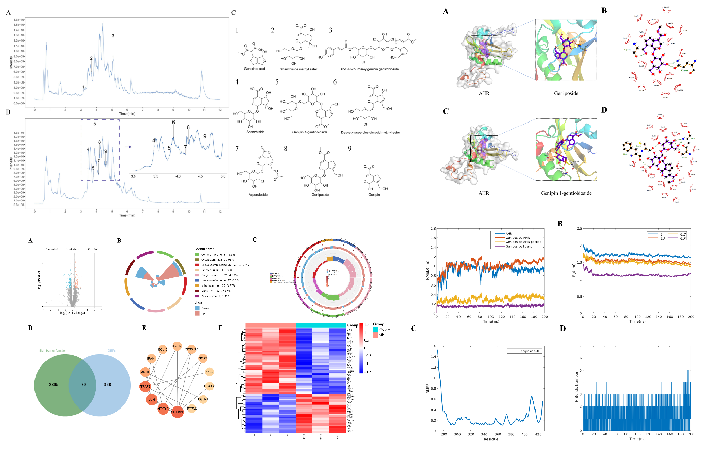SCI期刊,科新生物,君裕集团,栀子提取物,增强,表皮屏障机制