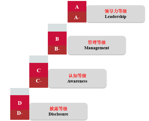 喜报,瑞旭,CDP问卷,B评级