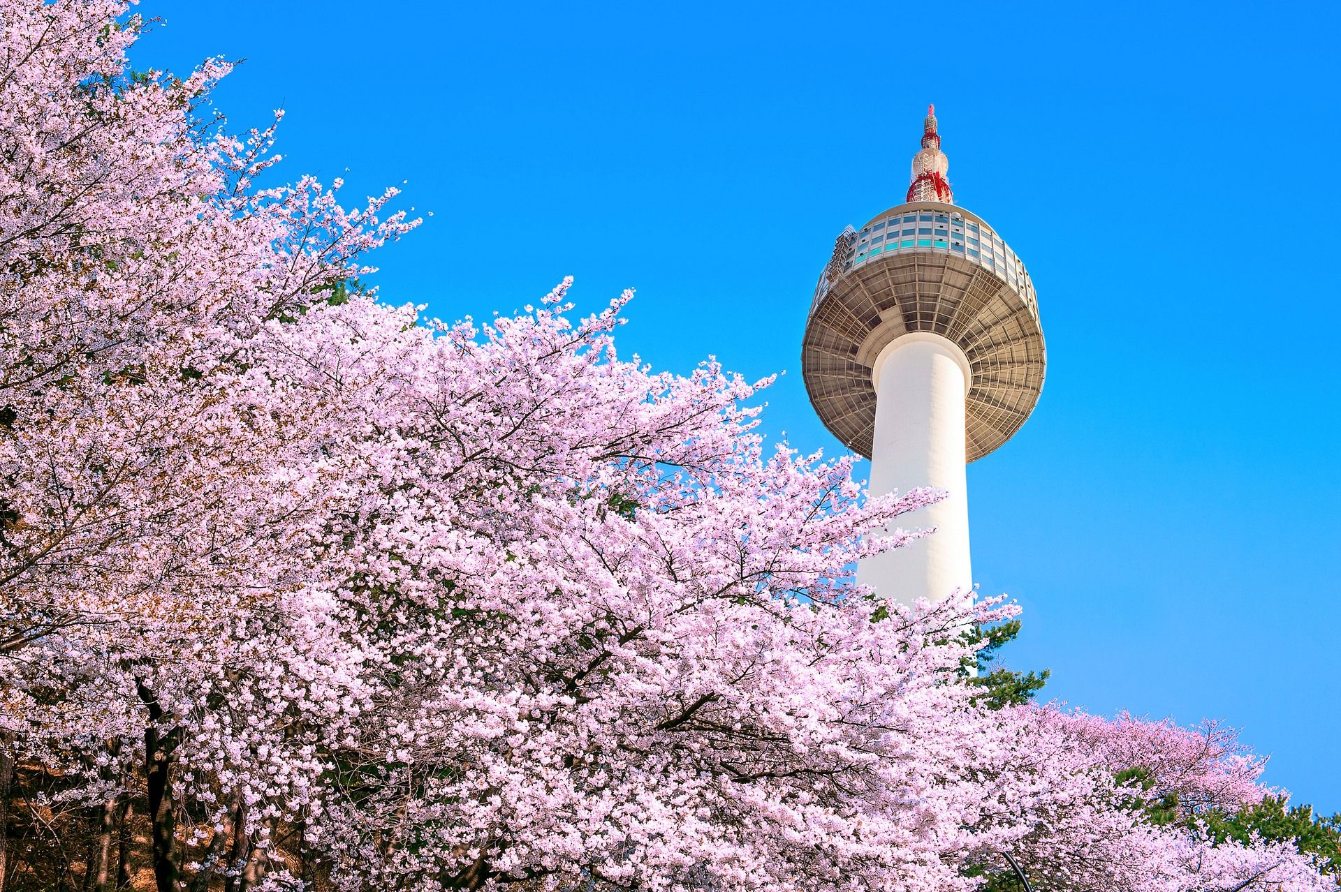 A Step-by-Step Compliance Guide for Exporting Cosmetics to South Korea